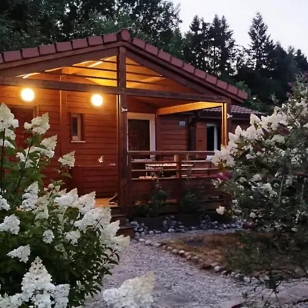 Le Petit Des Vosges Proche Gerardmer * Corcieux